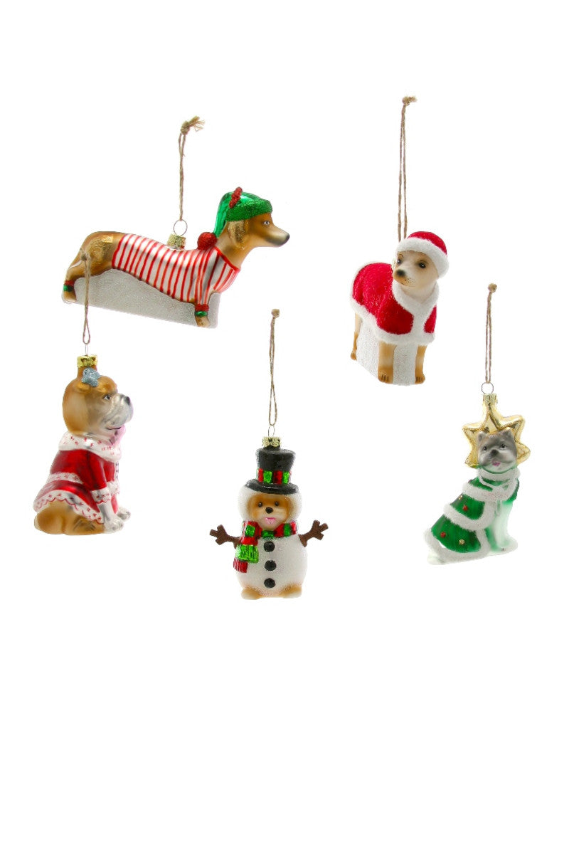 FESTIVE PUP ORNAMENT ASSORTED