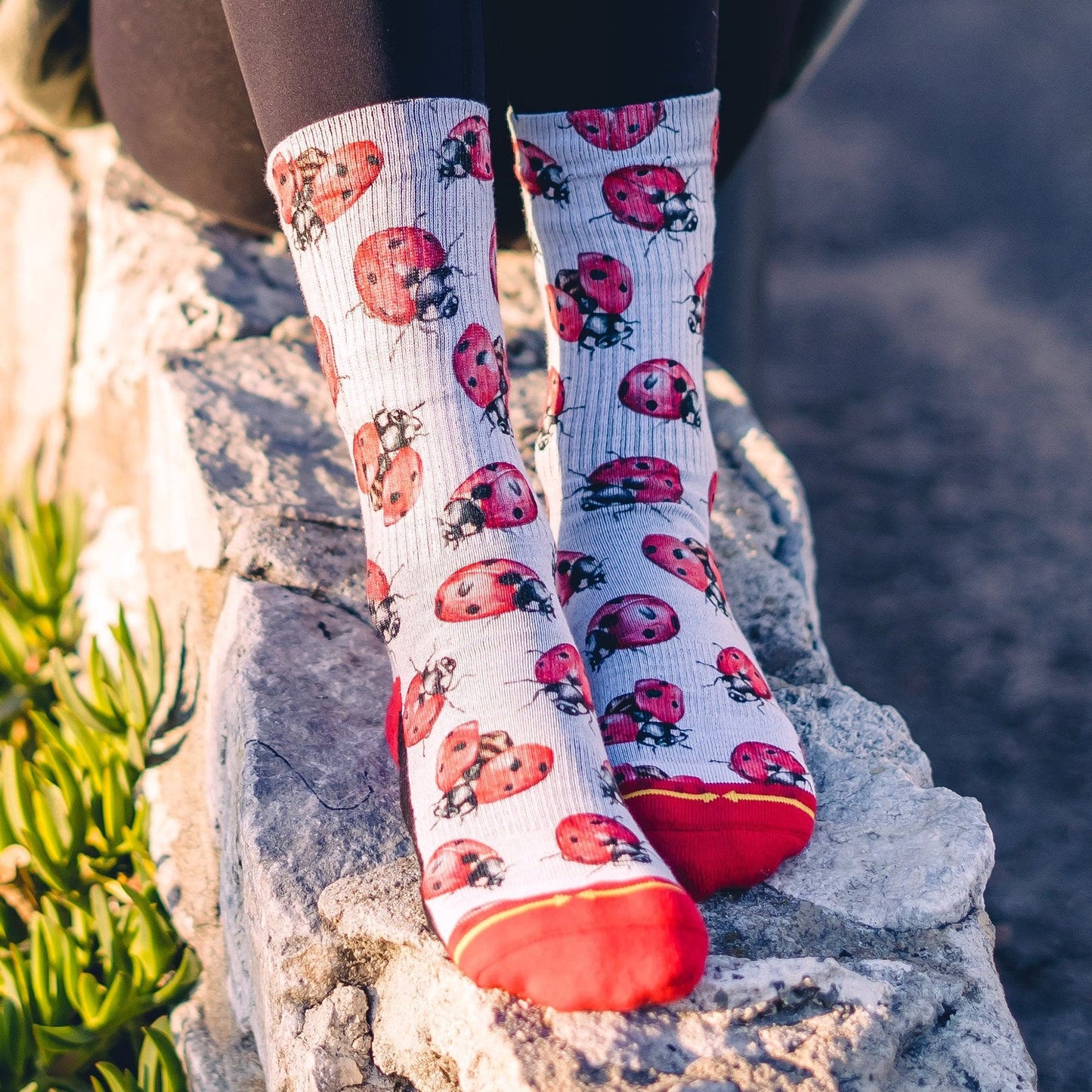 HANNA MINCK LADYBUGS CREW SOCKS