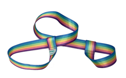 PASTEL RAINBOW PRINT SKATE LEASH